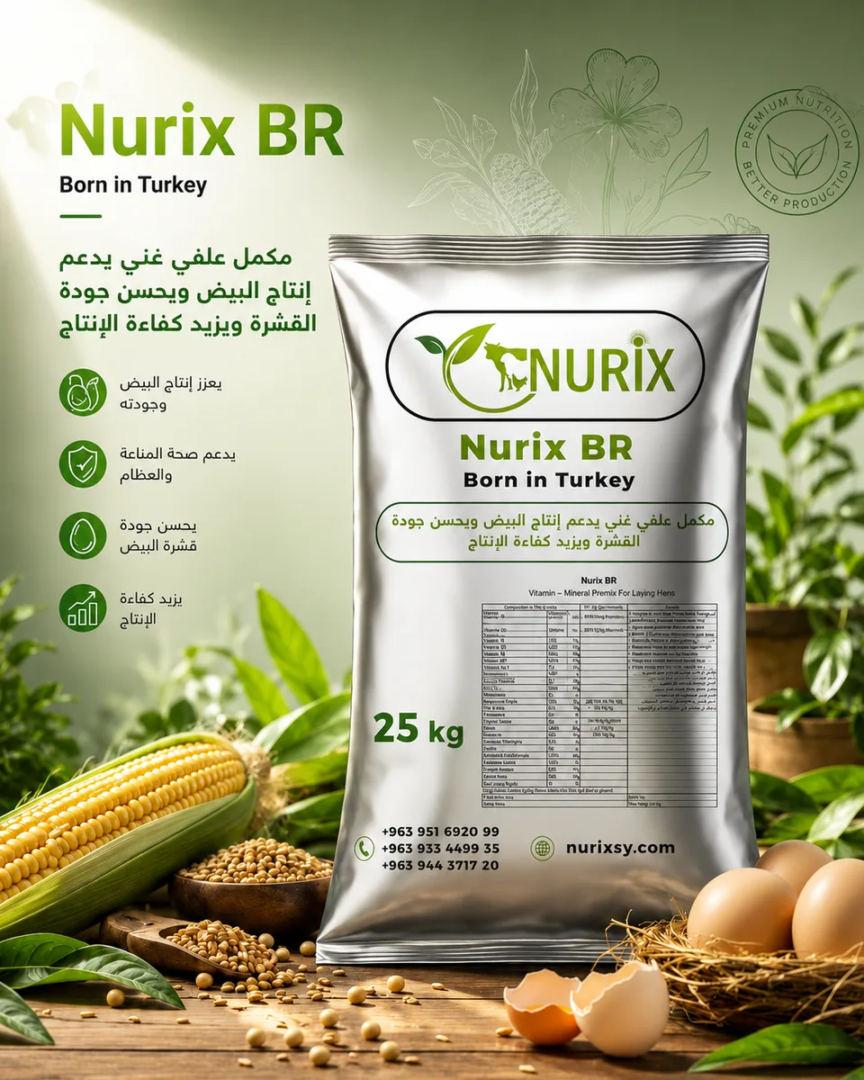 Nurix BR - دجاج البياض